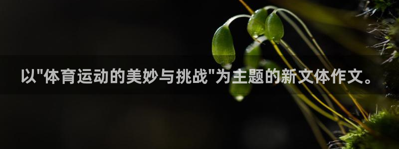 必一运动体育
