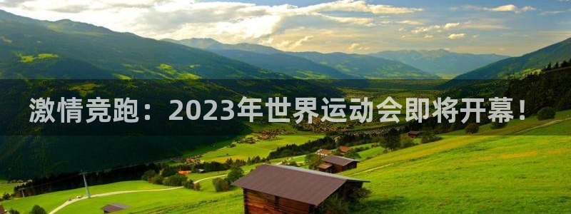 必一运动体育官网