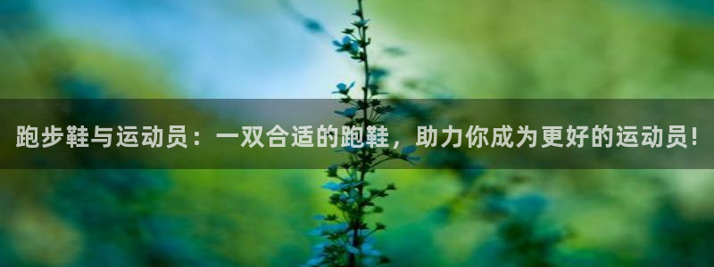 bsports官网 必一运动
