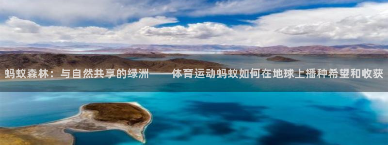 必一运动bsport体育