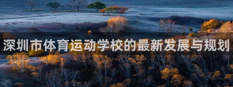必一运动体育官网