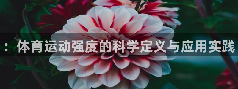 必一运动