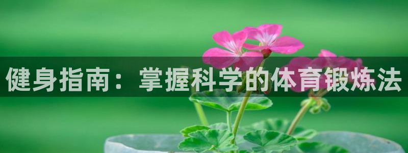 必一运动体育官网入口