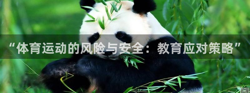 必一运动官网