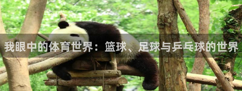 b体育必一运动官网