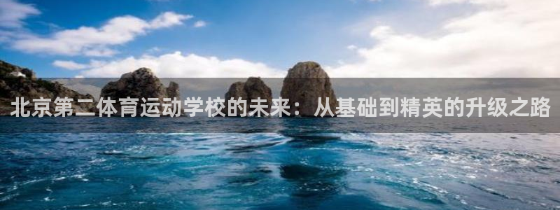 b体育必一运动官网