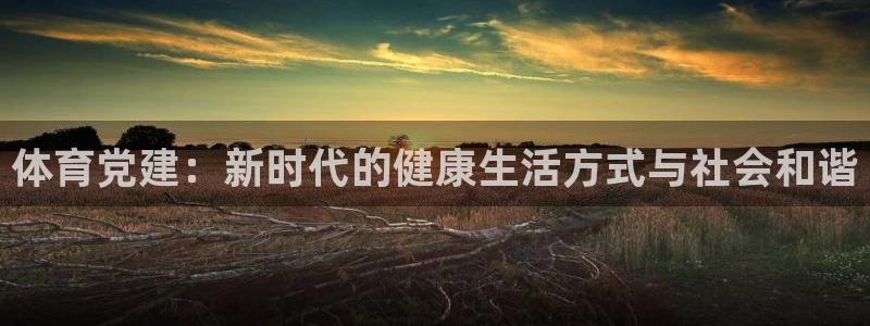 必一运动体育官网入口