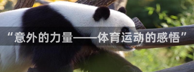 必一运动官网